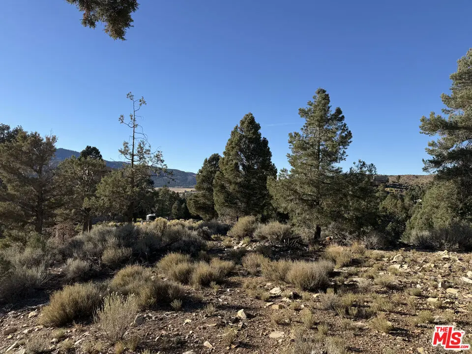 46280 Boron Lane, Big Bear City, CA — listing photo 1
