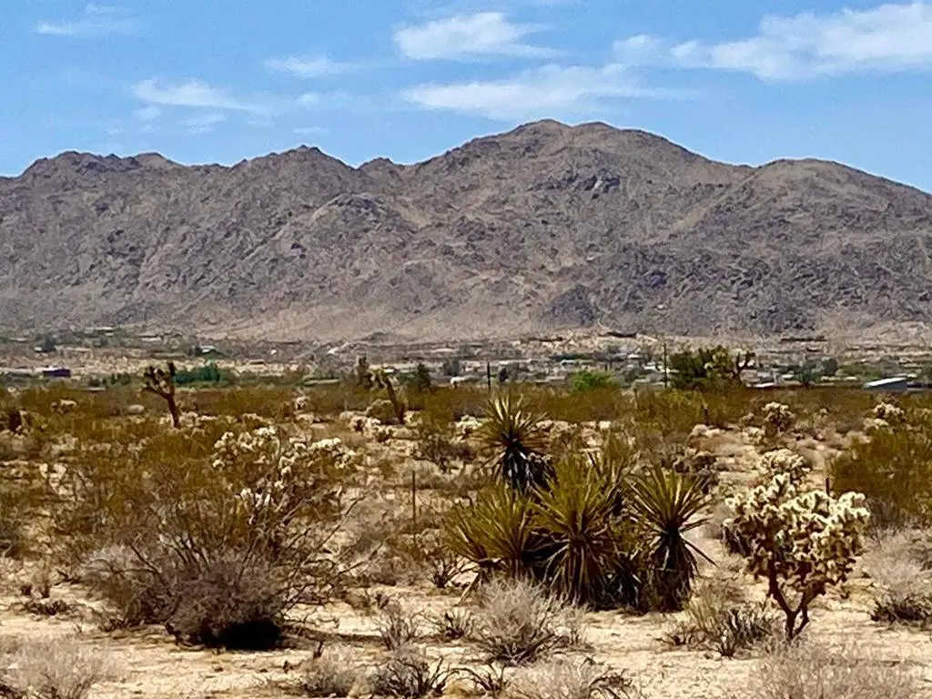 117 Border Road, Joshua Tree, CA — listing photo 1