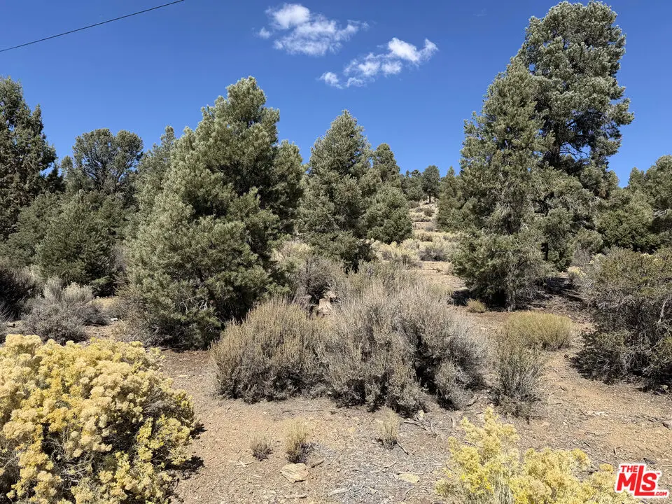 0 Falling Springs Road, Big Bear City, CA — listing photo 1