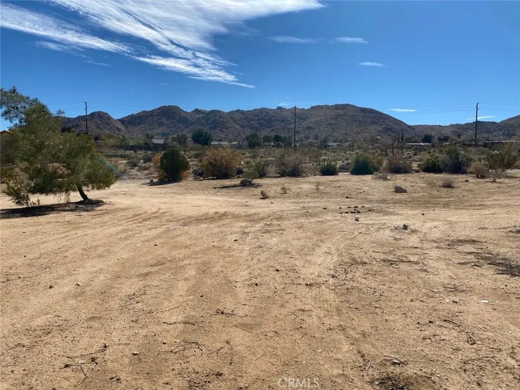 60450 Alta Mesa Drive, Joshua Tree, CA — listing photo 1