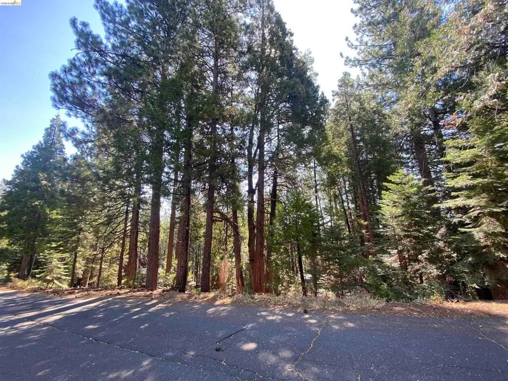 155 Alpine, Cold Springs, CA — listing photo 1