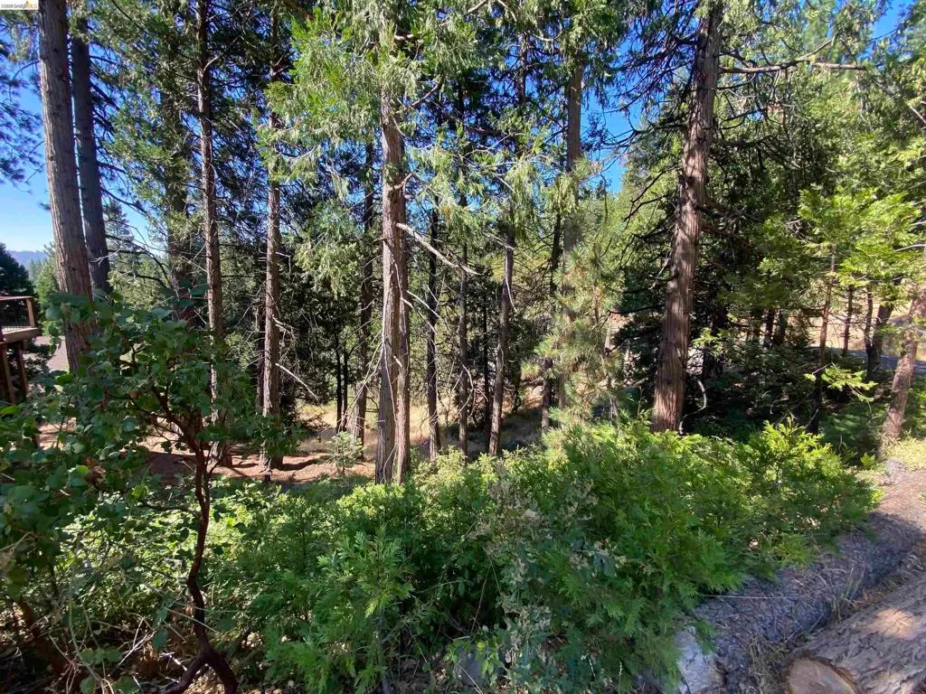 280 No Address - Vacant Lot, Cold Springs, CA — listing photo 1