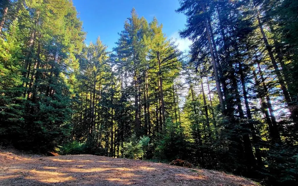 0 Redwood Lodge Road, Los Gatos, CA — listing photo 1