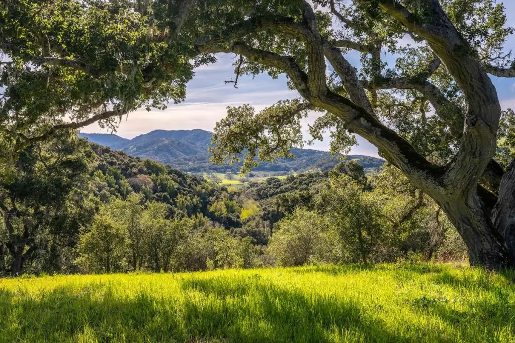 7 Vasquez Trail (Lot 172), Carmel, CA — listing photo 1