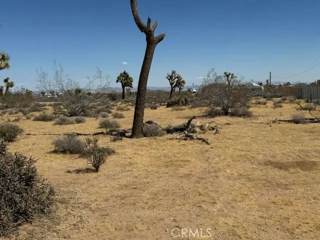 1234 alta, Yucca Valley, CA — listing photo 1