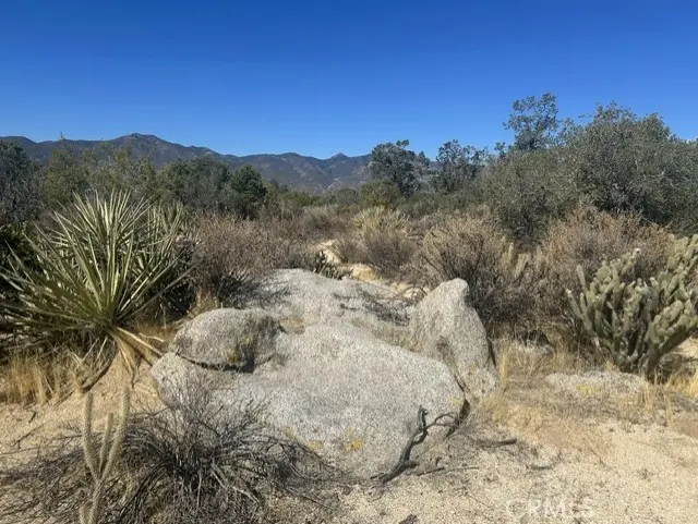 319 Alpine Dr, Mountain Center, CA — listing photo 1