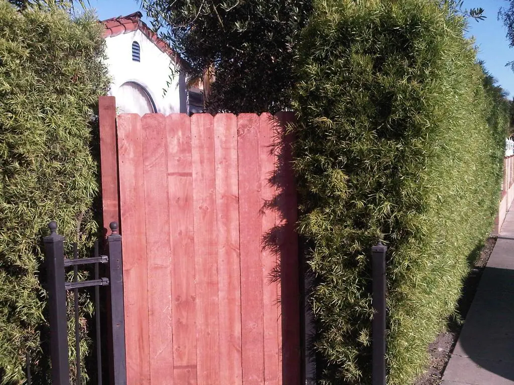 2227 S Redondo Boulevard, Los Angeles, CA — listing photo 1