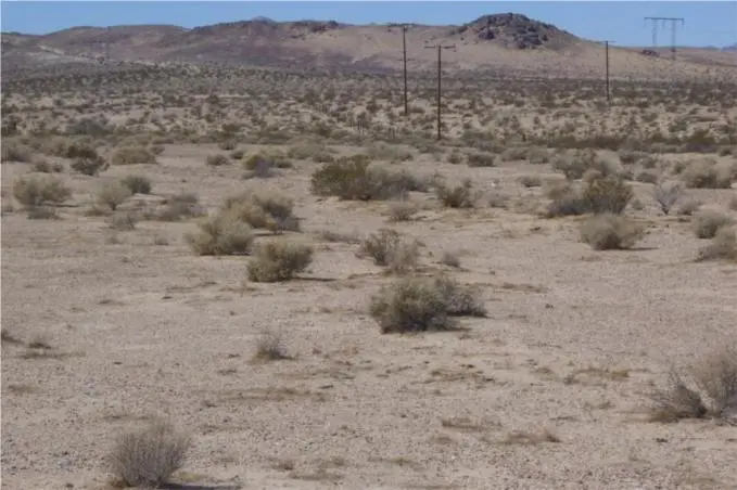 0 Mannix, Newberry Springs, CA — listing photo 1