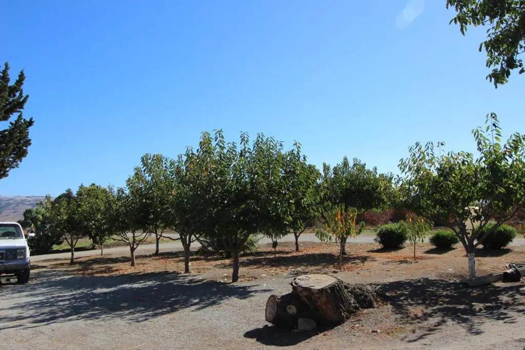 Mixed Use for sale at 2025 Pacheco Pass Highway, Gilroy, CA