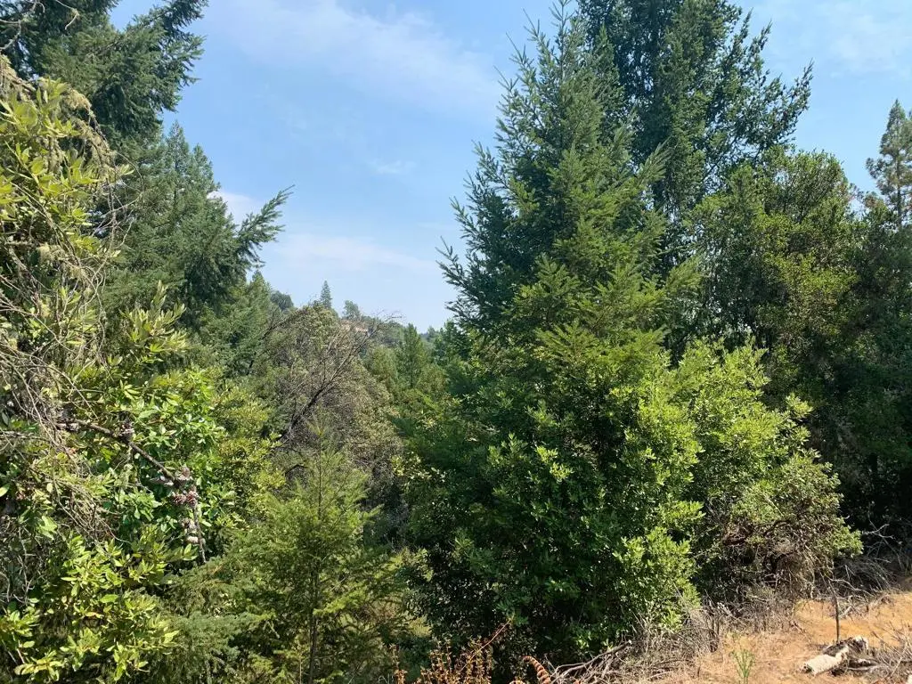 950 Middleton Drive, Boulder Creek, CA — listing photo 1