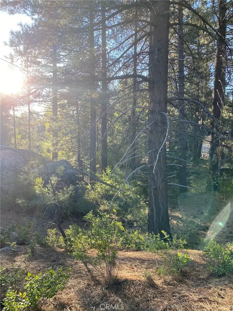 0 Cienega Road, Big Bear, CA — listing photo 1