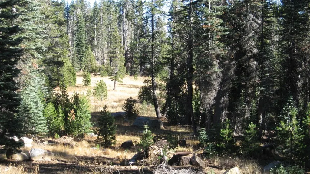 0 sugar pine, Berry Creek, CA — listing photo 1